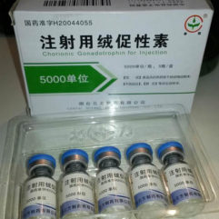 Pregnyl (Generic HCG/Human Chorionic Gonadotropin)